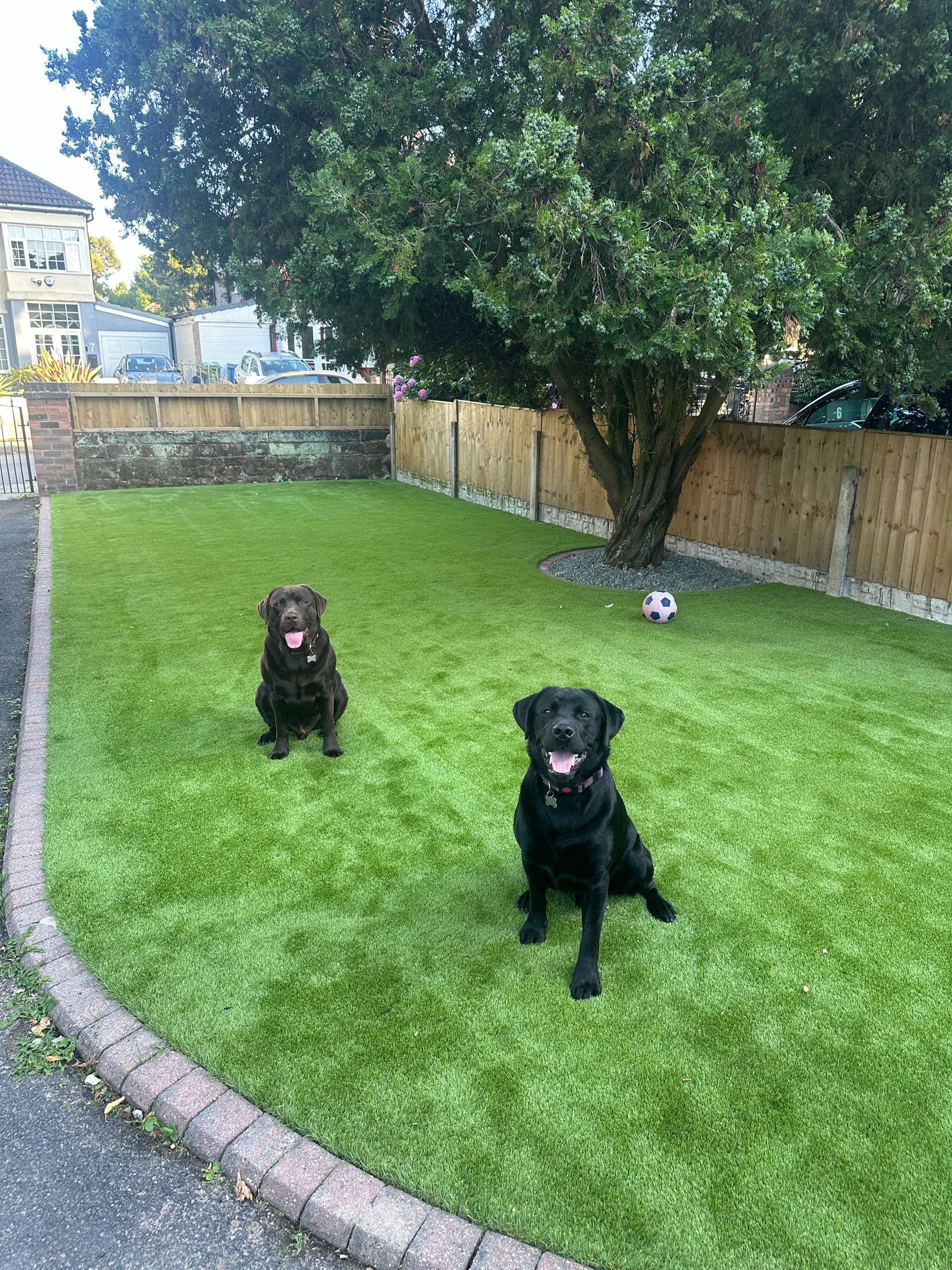 Artificial grass installation with timber fencing in a landscaped Liverpool garden
